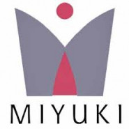 Miyuki Beads